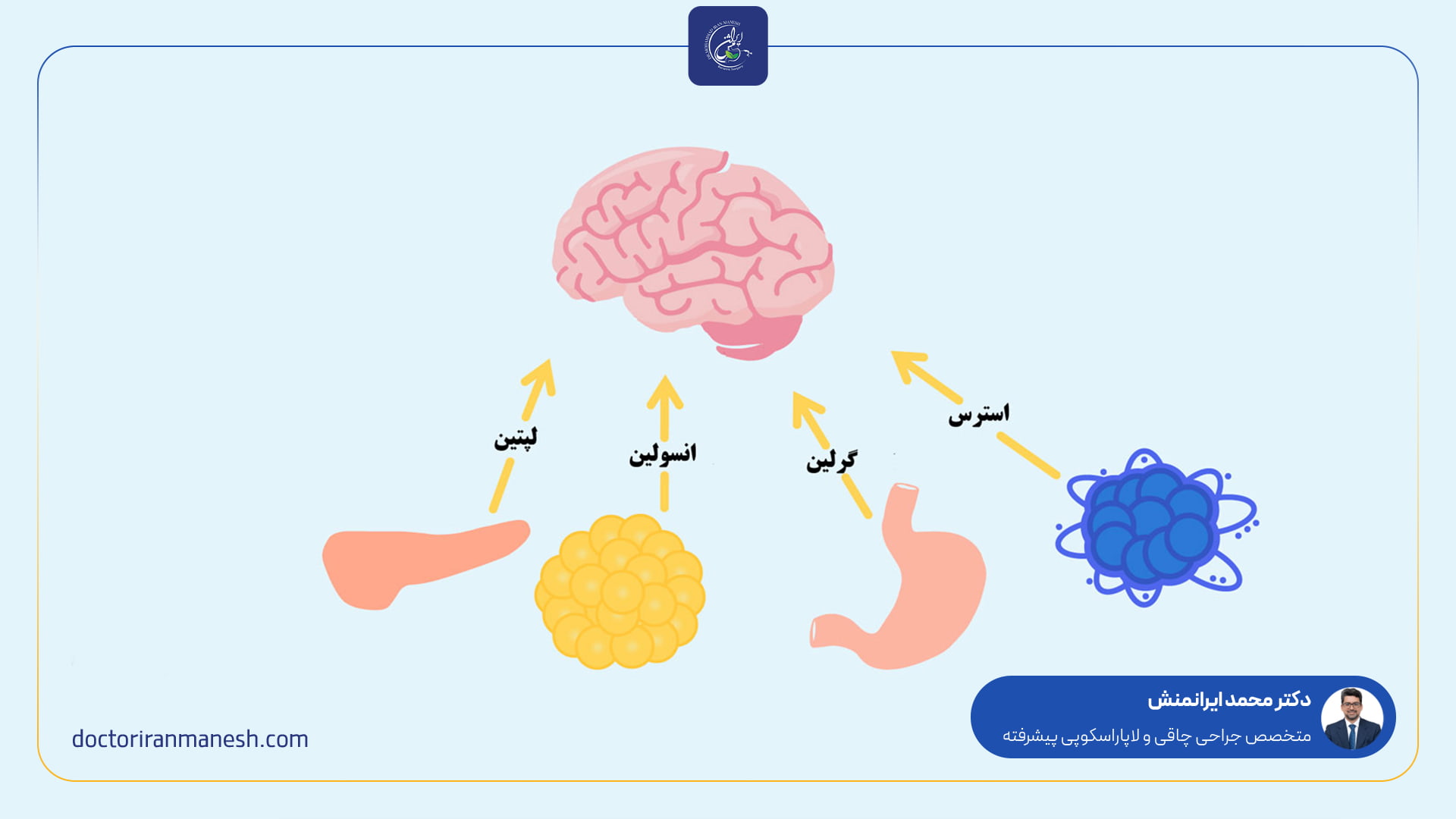 چرا بعد از جراحی بای پس معده همچنان گرسنه می‌شوید؟