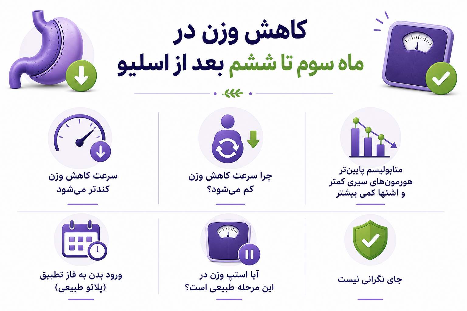 کاهش وزن در ماه سوم تا ششم بعد از اسلیو